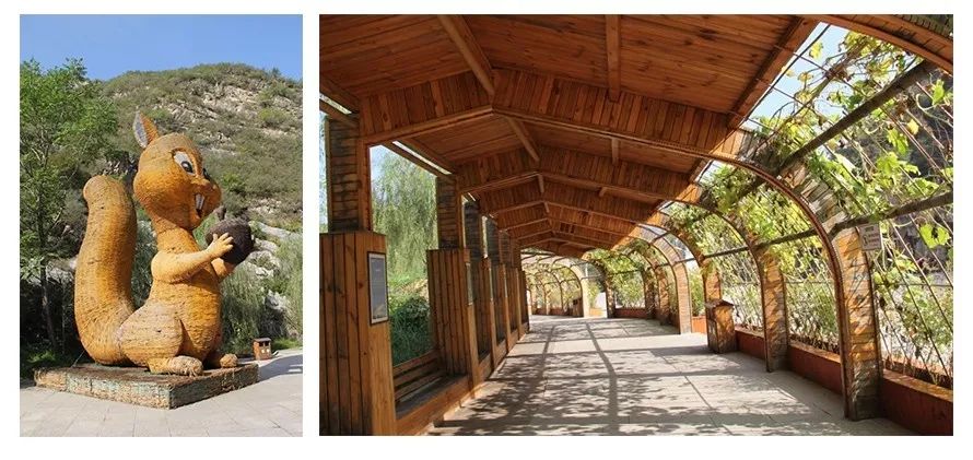 DG视讯·(中国游)有限公司官网